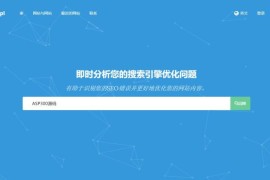 最新深度SEO分析工具源码Turbo Website Reviewer