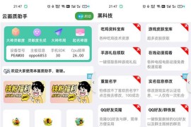 iApp云画质助手精品源码