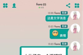 fiora二次元聊天室宝塔源码+搭建教程 带后台小黑屋