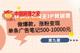 28天小红书博主IP特训营《第9期》做爆款，涨粉变现 单条广告笔记500-10000