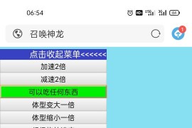 召唤神龙游戏源码、无敌版