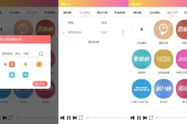 在线搜索音乐播放器源码