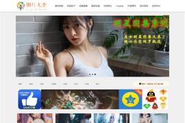 CX-UDY主题：简洁大方自适应多功能免费WordPress图片主题