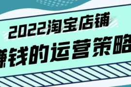 震宇老师·2022年淘宝店铺赚钱的运营策略，一套能够盈利的赚钱打法