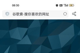 自适应3D个人简洁引导源码