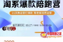 108将淘系爆款陪跑营【第九期】，从淘宝0开始，手把手教你链接起飞，爆款不断