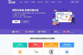 修复版-仿第八区APP分发下载打包封装系统源码 