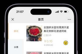 美团代付多模版三合一源码 附教程