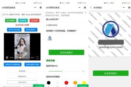 新版简约短视频去水印加图片多样化加水印微信小程序源码下载支持多流量主