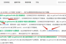 全新适配微信登录接口 wordpress博客系统资讯资源变现下载小程序源码