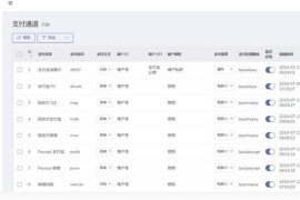 11月份新版支付接口超多的发卡网源码