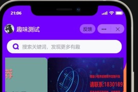抖音小程序紫色ui趣味测评新项目单台手机利润60到138