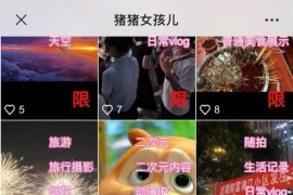 【全网首发】花800买的抖音标签检测源码