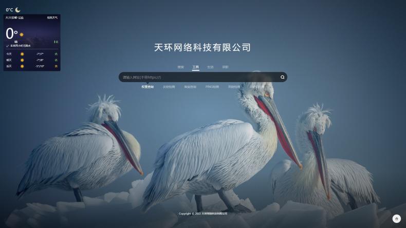天环网络搜索页带天气预报网站查询等等  第1张